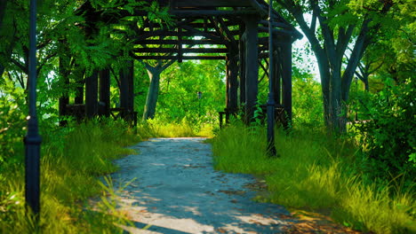 Walking-trails-in-the-park