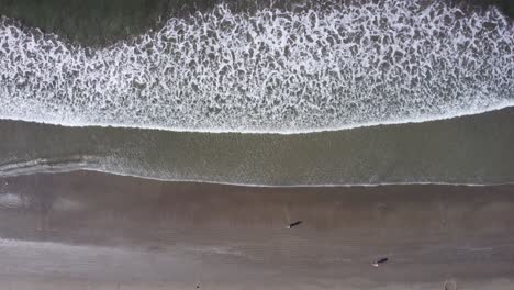 Aerial-view-above-people-and-waves-at-the-Barro-da-Sahy-beach-in-sunny-Brazil---cenital,-drone-shot