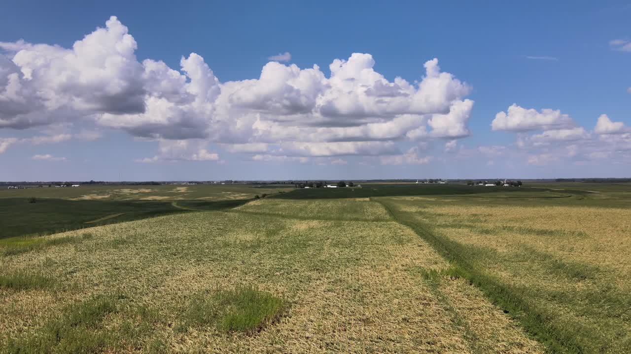 video de drones aéreos daños causados por el viento en cultivos agrícolas rurales y agrarios y tierras de cultivo en el corazón del medio oeste de iowa