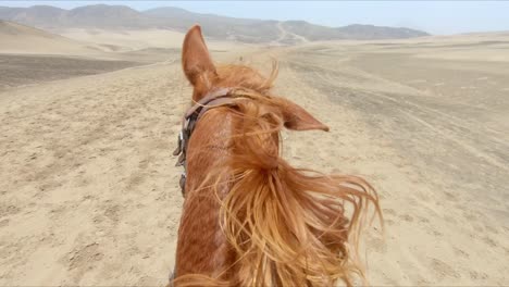 pov riding chestnut horse following dog through arid sand dunes