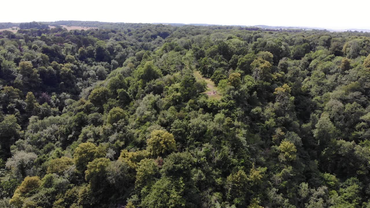 antena sobre la reserva natural nacional de leigh woods fuera de bristol