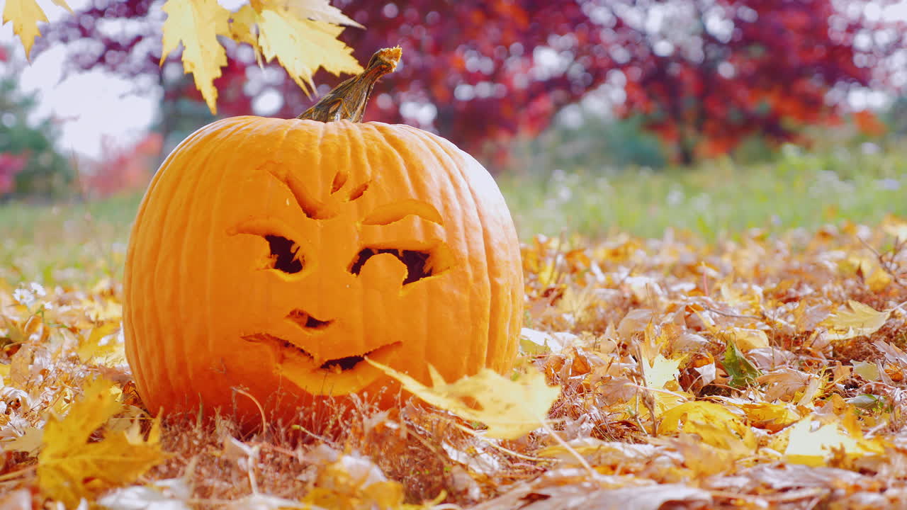 호박에 새겨진 클로즈업 얼굴