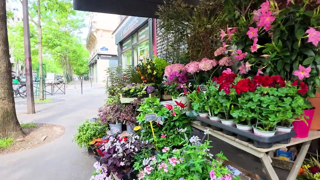 Una lenta panoramica rivela vivaci piante in vaso e fiori fuori da un fiorista parigino.