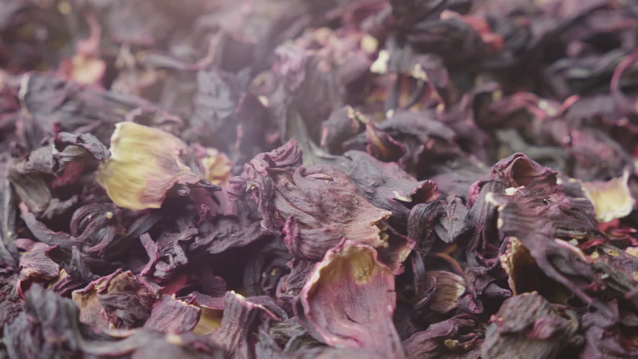 매크로 사진 비디오 - 전통적인 이집트 carcade 차 4k 비디오