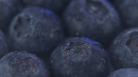 Makro-Nahaufnahme-Von-Blaubeeren,-Die-Sich-Nach-Oben-Bewegen,-Nasse-Blaubeeren-Mit-Feuchtigkeit-Oder-Wassertröpfchen