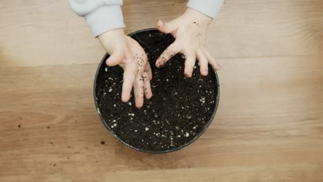 a top-down shot of a child’s hands gently planting seeds in a pot filled with rich earth, capturing a nurturing moment.