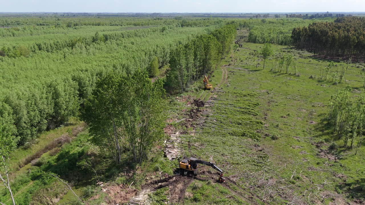 Heavy duty harvester clearing land, deforested site with cut tree stumps scattered across the ground, aerial establishing orbit