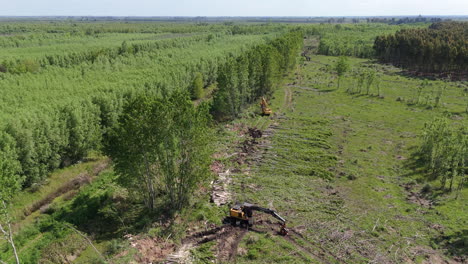 heavy duty harvester clearing land, deforested site with cut tree stumps scattered across the ground, aerial establishing orbit