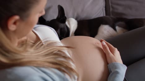 Mujer-Embarazada-Relajándose-Con-Un-Cachorro-En-El-Sofá
