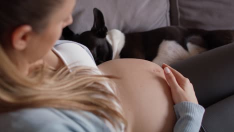 pregnant woman relaxing with puppy on the couch