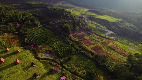 circling above a coffee planation rural community oxapampa peru