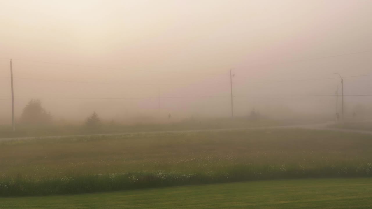 짙은 아침 안개가 아침 햇살에 분홍빛을 더합니다.