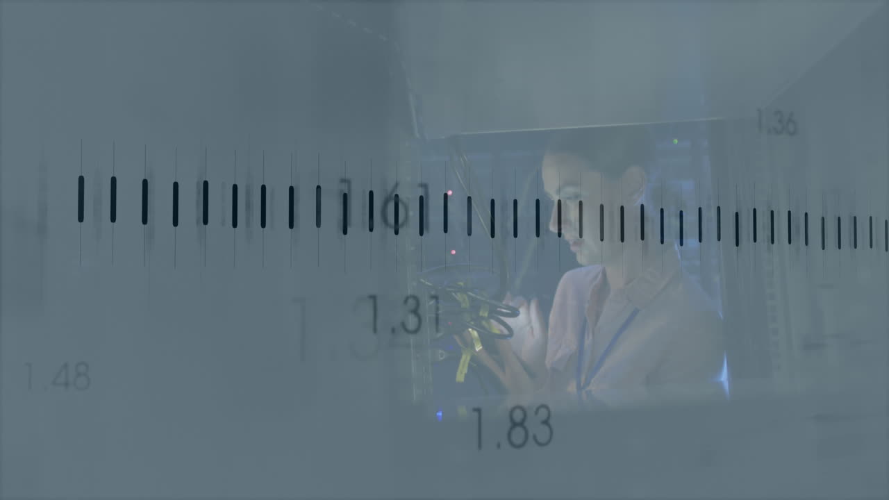 서버  ⁇ 에서 백인 여성에 대한 금융 데이터 처리 애니메이션