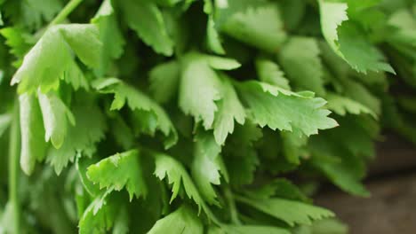 video of close up of fresh salad parsley leaves on grey background