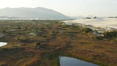 lagoon dunes, praia da joaquina, florianopolis city, santa catarina, brazil