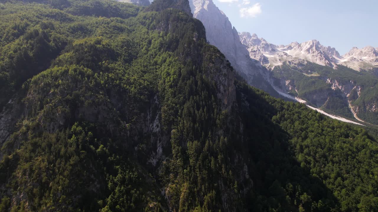 hermoso bosque con densos pinos en la ladera de la montaña alpina en albania, lugar de senderismo y escalada