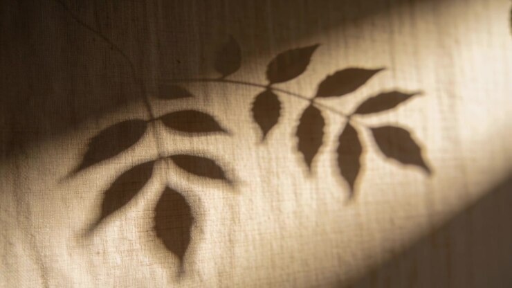 Shifting branch shadow drifting across curtain at window, sunlight band moving causing leaf peeking