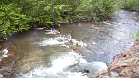 Río-De-Montaña-Que-Fluye-En-El-Bosque-Verde.-Hermoso-Paisaje-Natural