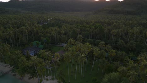 perfect aerial view flight palm tree beach koh kood island thailand morning sunrise 2022