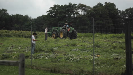 Hens-in-pens-1