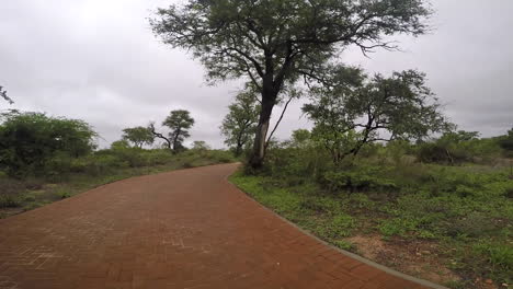 POV-shot-from-front-of-car-in-African-bushland,-driving-from-driveway-to-dirt-road