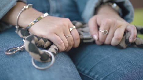 Girl hand tighten on a dog&#039;s leash