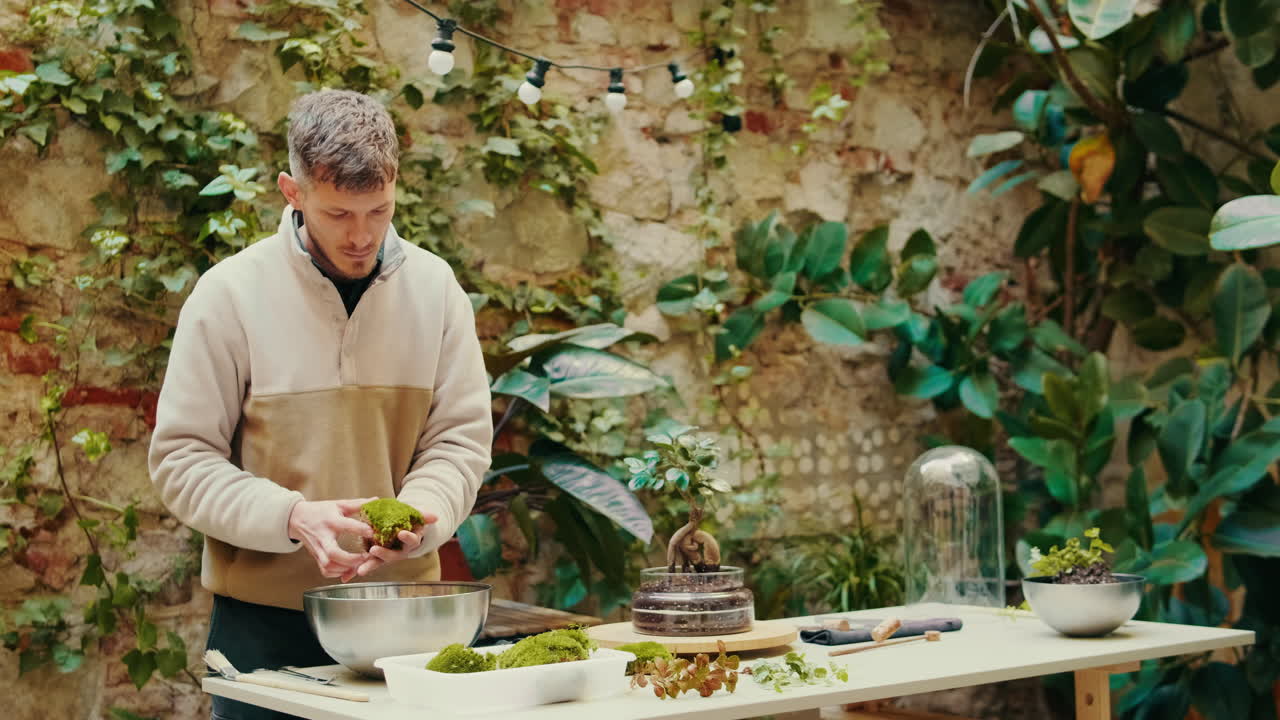 Mand forbereder mos til terrarium eller bonsai i en grøn gårdhave.