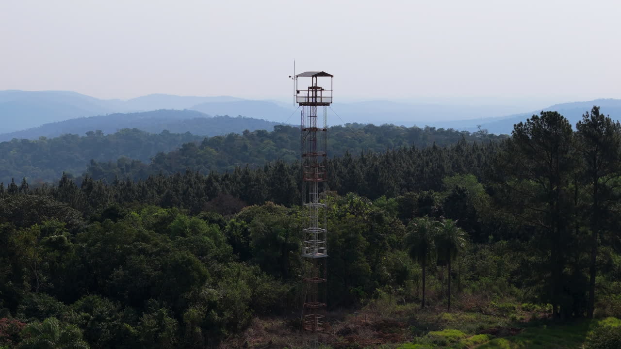 Aerial view of fire lookout tower in large pine plantation. Misiones, Argentina