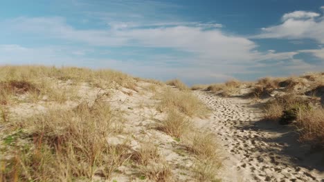 Aerial-rising-over-beach-path-towards-breaking-waves-and-open-ocean