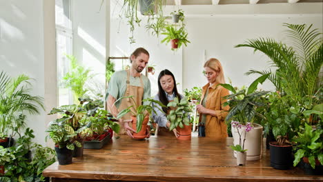 el personal de la planta discutiendo las plantas.
