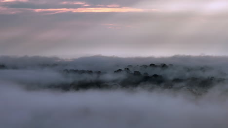 aerial reveal shot above amazonian rainforest cuyabeno reserve ecuador - mist over forest mystical sunrise