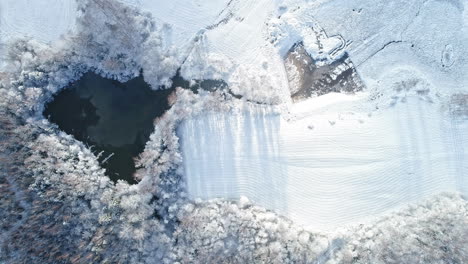 Estanque-Rodeado-De-Tierra-Cubierta-De-Nieve-En-Invierno