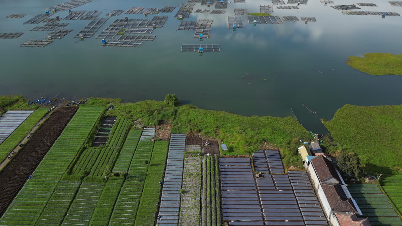 Local Crop Farmers Batur Lake Edge Kintamani Bali Indonesia Drone Track Forward 4K 30FPS