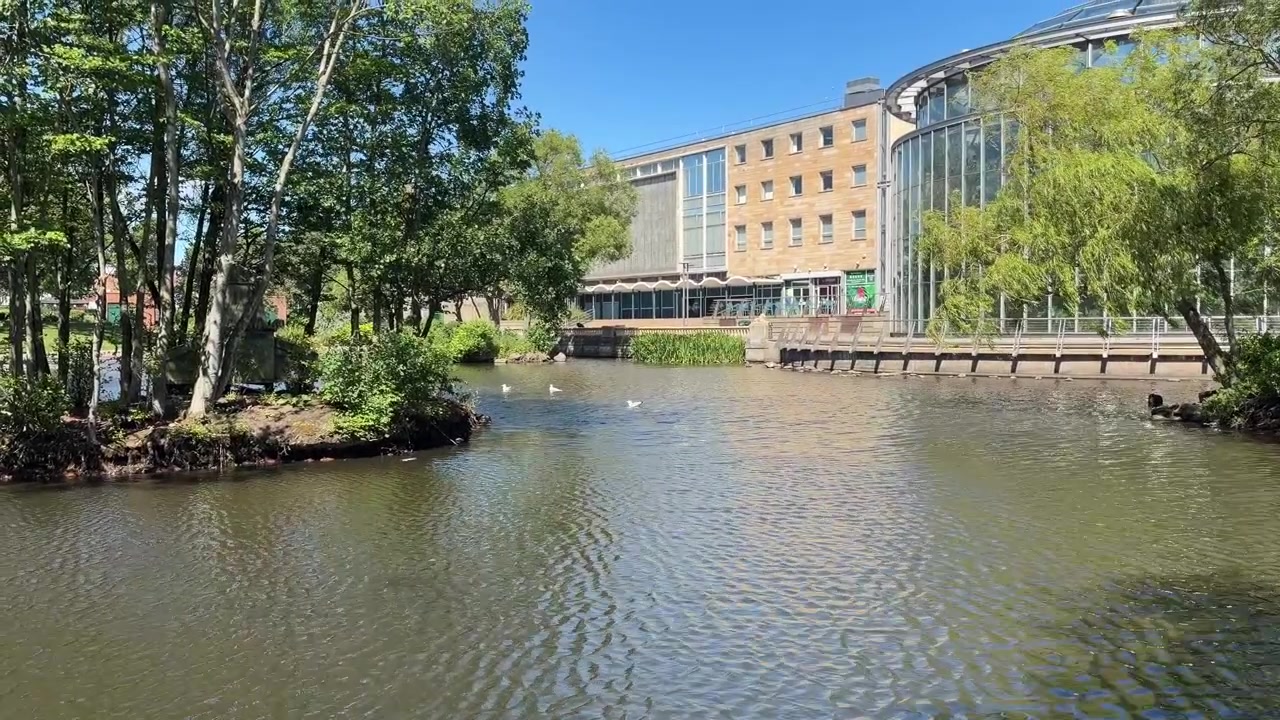 Sunderlandin Talvipuutarhojen puistojärvi puiden ja kaupunkirakennusten ympäröimänä kesällä