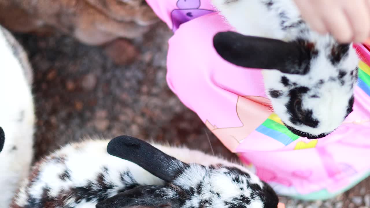 활기찬 시장 에서 토끼 를 먹이는 어린이 들