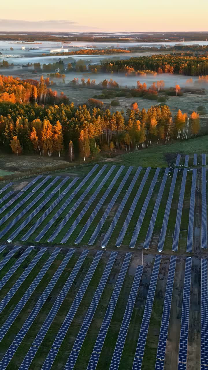 Sunset lighting on solar panel array in countryside, aerial with distant forest