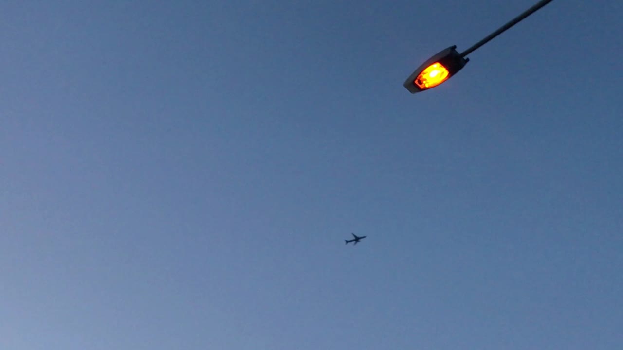 맑은 날 조명이 켜진 가로등을 향해 보이는 오클랜드 영공 내에서 비행기가 머리 위로 날아갑니다.