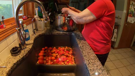 Mujer-Mayor-De-Pie-En-El-Fregadero-De-La-Cocina-Mientras-Prepara-Tomates-Cultivados-En-El-Jardín-Para-Enlatar