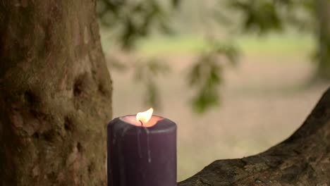 candle flickers in rural woodland