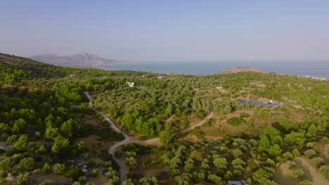 Elevador-Aéreo-Revela-Vastos-Olivares-Cerca-De-La-Costa-De-Rodas,-Pilonas,-Grecia