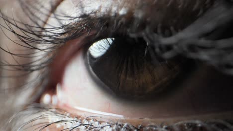 human eye extreme close up view