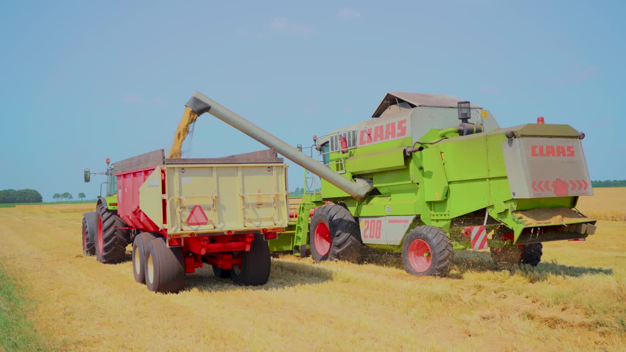 Combine harvester in action on barley field. Cuts the field of mature ripe barley.