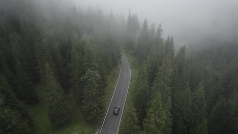 car drives up misty giau pass enveloped by coniferous forest