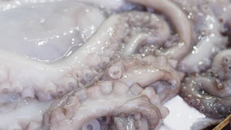 fresh octopus at a seafood market