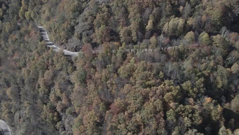 Vista-Aérea-Desde-Un-Camino-Forestal