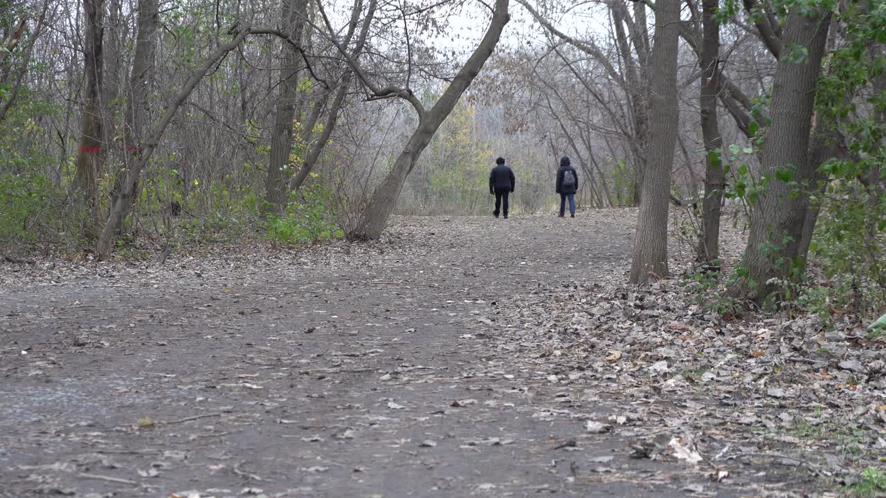 You can see two-person walking in a park on a cloudy day. Around, you see the trees without leaves and a lot of them on the floor.