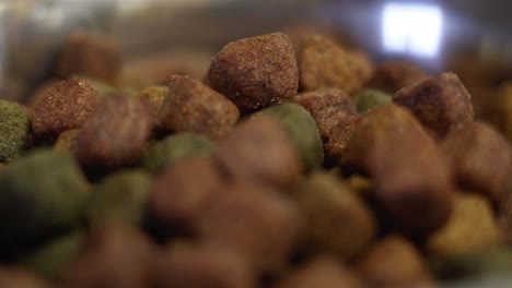 bowl full of chunks for dogs close up shot