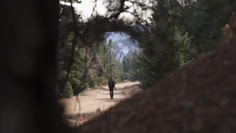 Hiker-with-backpack-walks-black-dog-on-leash-on-mountain-forest-trail