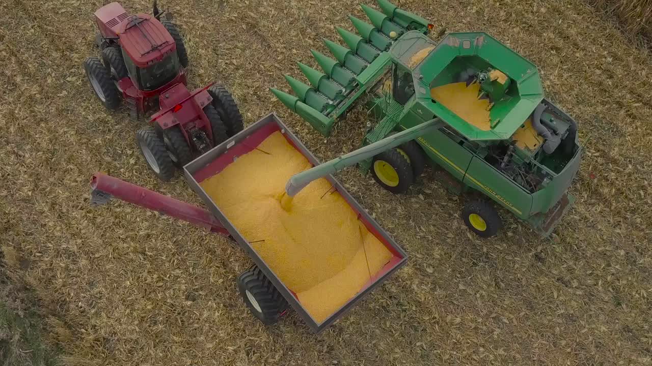 콤바인, 트랙터, 오거 왜건으로 옥수수 밭을 수확하는 중서부 농부