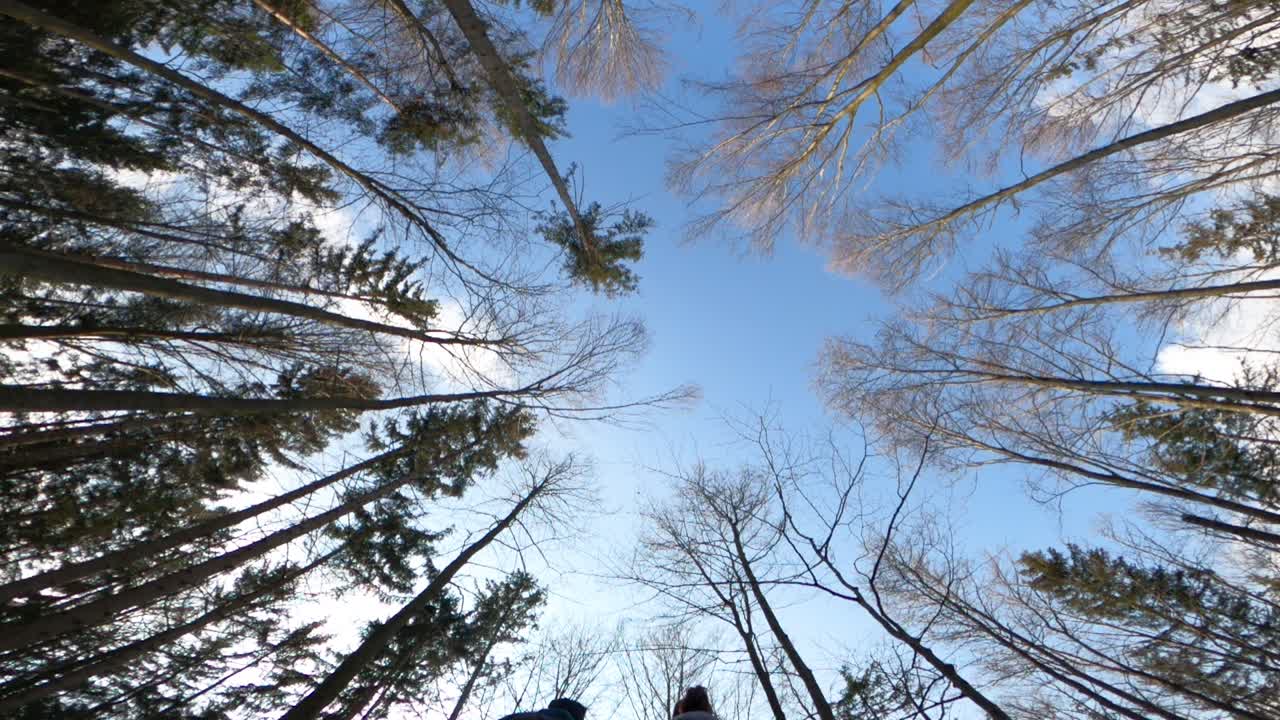 Forest sky while couple holding hands walks over the camera in slowmotion